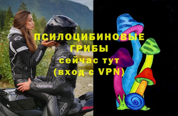 эйфоретик Алзамай