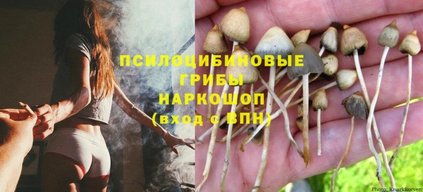 Альфа ПВП Алексеевка
