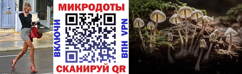 закладка  Белоозёрский  Псилоцибиновые грибы мицелий 